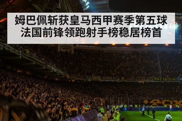 football stadium night crowd